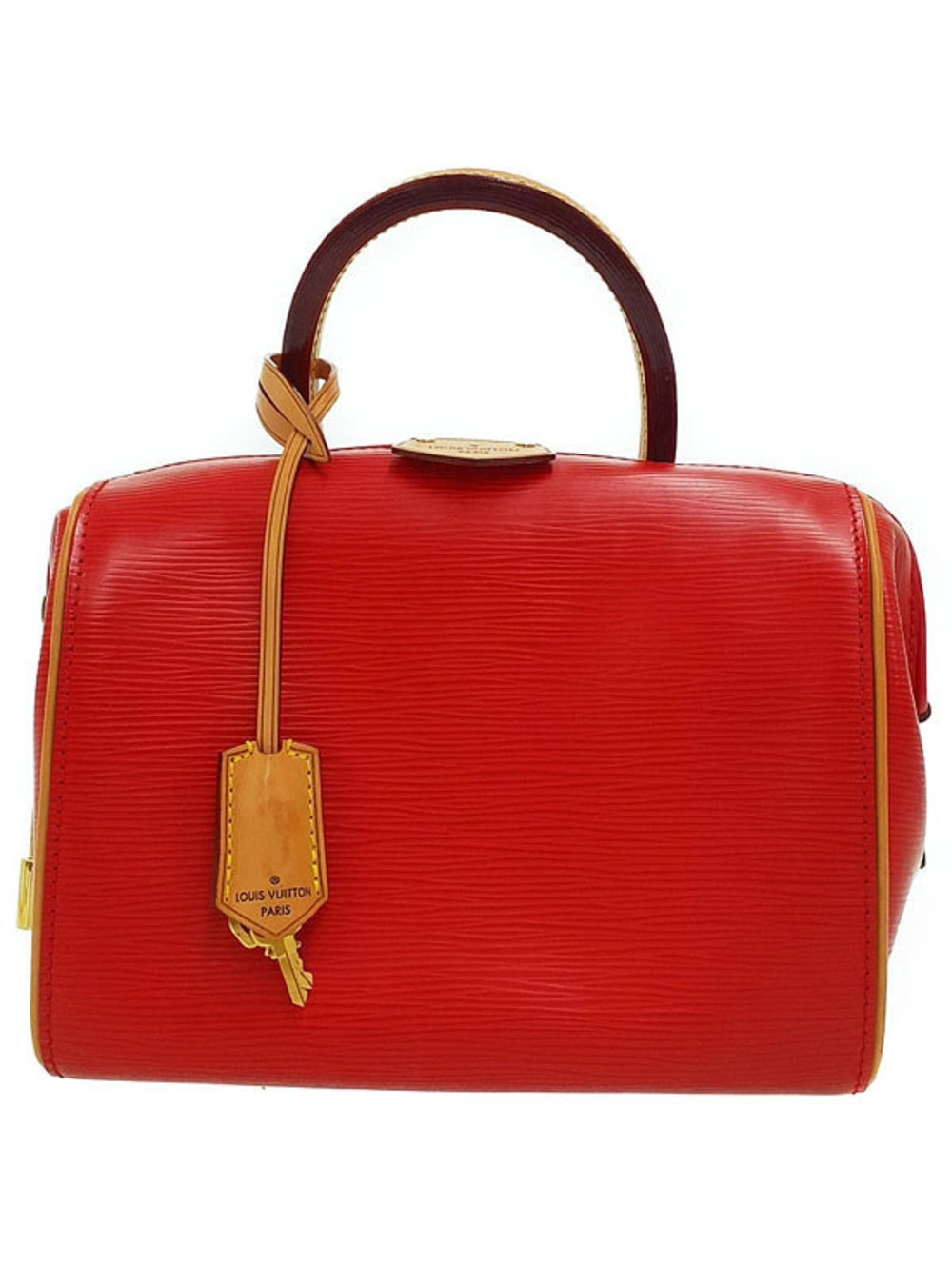 Louis Vuitton Epi Dog Handbag